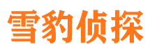 澄江侦探公司